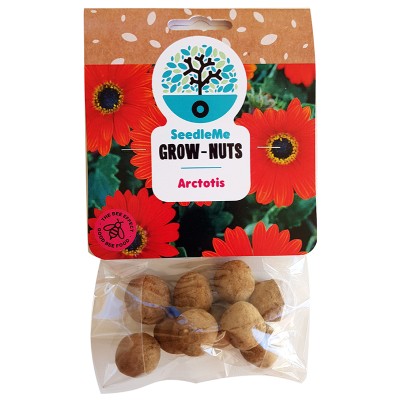 SeedleMe Grownuts - Arctotis