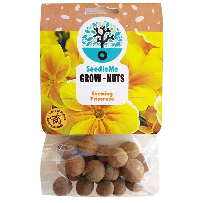 SeedleMe Grownuts - Evening Primrose
