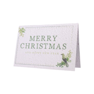 Growing Paper Card Merry Christmas Green