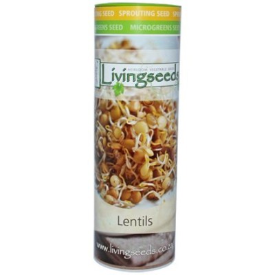 Livingseeds Heirloom Sprouting Seeds - Brown Lentils 