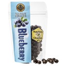 Native Raw Honey Chocolate Coated Blueberry & Coconut 
