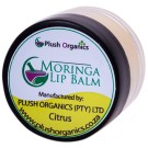 Plush Organics Moringa Lip Balm