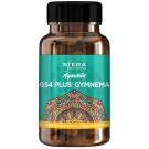 Sfera GS4 Gymnema 60's