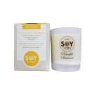 Soylites Frosted Aromatherapy Candle - Peaceful Summer, 220ml