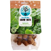 SeedleMe Grownuts -  Spinach Beet Fordbook Giant