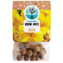 SeedleMe Grownuts - Evening Primrose