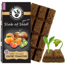 SOW Delicious Seed Slab - Exotic Tomatoes