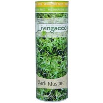 Livingseeds Heirloom Sprouting Seeds - Black Mustard
