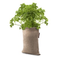 Microgarden Growbag Herbs